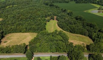 Poplar Springs Road, Atwood, TN 38220