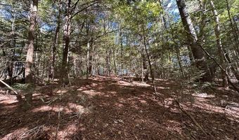 18 6 Acres Cave Branch Rd, Allardt, TN 38504