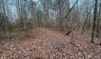 County Road 29, Alberta, AL 36720