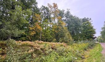 34 Xxx 80ac 298th St, Aitkin, MN 56431