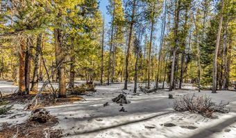 COUNTY ROAD 19 lot 0, Alma, CO 80420