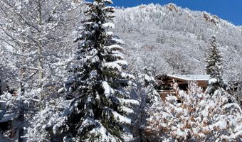 728 S Galena St 202-B, Aspen, CO 81611