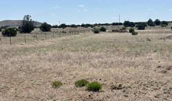 Windsor Valley Ranch Lot 135, Concho, AZ 85924