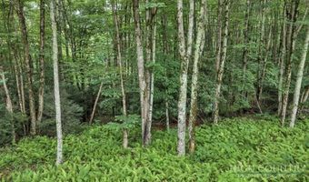 Featherwood Trail, Banner Elk, NC 28604