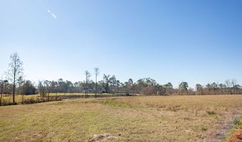 303 Dub Baxley, Baxley, GA 31513