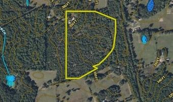 329 County Road 2804, Alto, TX 75925
