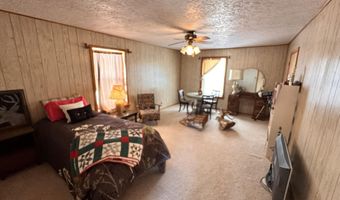 664 Mt. Capitan Rd, Capitan, NM 88316