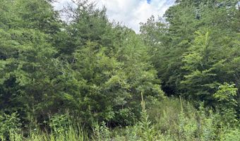 49 Bayside Blvd, Bean Station, TN 37708