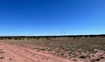 005 N9119, Concho, AZ 85924