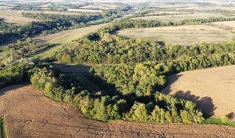 27 Ac. Dougherty Creek Rd, Argyle, WI 53504