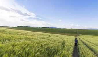 TBD E 1400 N, Ashton, ID 83420