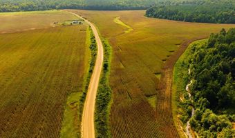 1037 Cr 300, Big Creek, MS 38914