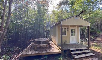 18 62 Ac Squirrell Hollow Rd, Alberta, VA 23821