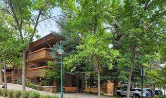 747 S Galena St 230 & 330, Aspen, CO 81611