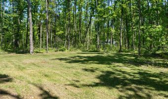 7361 N Conway Rd, Alanson, MI 49706