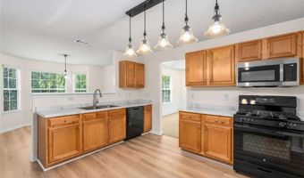 4849 Lily Stem Dr, Auburn, GA 30011