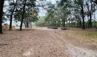 4232 47th Pl, Bell, FL 32619