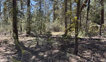 Horned Owl Way 385461, Bonanza, OR 97623