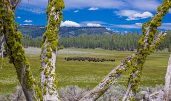 Fishhole Creek Road, Bly, OR 97622