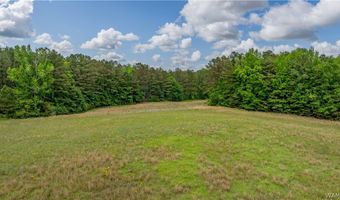 350 Hershell Henry Rd, Bankston, AL 35542