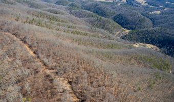 Stoots Mountain Rd. lot 31-A-109, Austinville, VA 24312