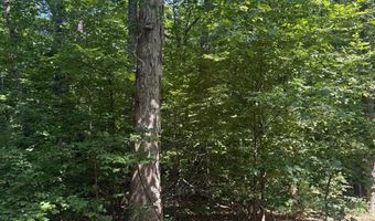 0000 Mifflin Rd, Beech Bluff, TN 38301