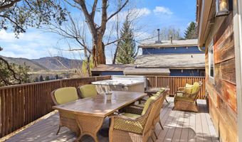 217 Longhorn Ln, Basalt, CO 81621