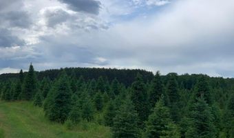 N680 HWY 45, Antigo, WI 54409