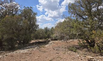 215 Off Cathedral Vly, Ash Fork, AZ 86320