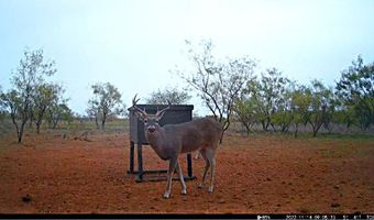 TBD East Tract County Road 356, Anson, TX 79501