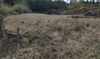 0 Fort Hill Rd, Willamina, OR 97396