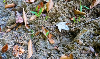 Hairfield Ln lot 0, Axton, VA 24054