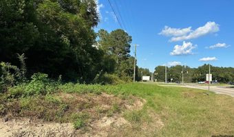 0 Hwy 51, Ariton, AL 36311
