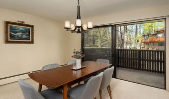 400 W Hopkins Ave 5, Aspen, CO 81611