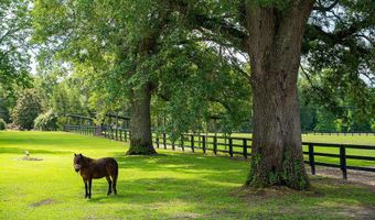 1792 Appleton Rd, Allendale, SC 29810