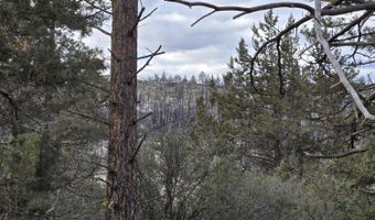 Jaguar Lane Lot 7 & 8, Bonanza, OR 97623