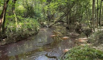 SW Auburn Drive, Bogue Chitto, MS 39629