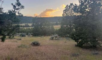 639 Pheasant Dr, Alturas, CA 96101