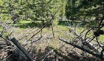 NHN Perkins Gulch Road, Anaconda, MT 59711