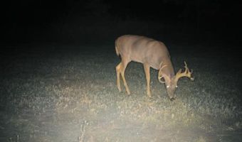 8752 HWY A, Almond, WI 54909