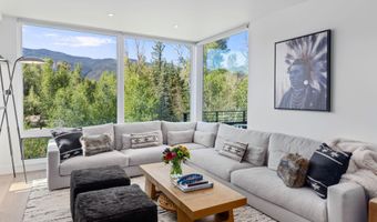 22856 Two Rivers Rd, Basalt, CO 81621