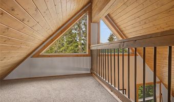 62 Lazy Rex Rd, Alma, CO 80440