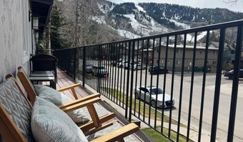 901 E Hyman Ave 4, Aspen, CO 81611