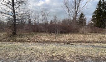Archbald Road, Albion, NY 14411