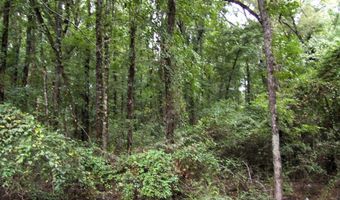 120 LR 180, Ashdown, AR 71822