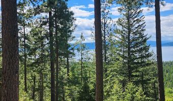 31683 Lake To Sky Dr, Bigfork, MT 59911