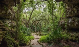 02-2 N 11-0083-00P0-0310 Fairview Rd, Alford, FL 32420