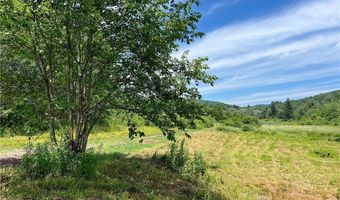 0 Woodland Hills Rd, Andes, NY 13731