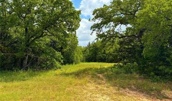 201 Halcyon Rd, Alvord, TX 76225