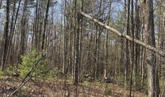 Bolton Hill Road lot 88, Augusta, ME 04330